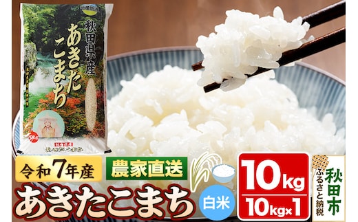 米 あきたこまち 10kg 令和7年産 白米 田口商店 農家直送 秋田県産