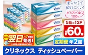 《6ヶ月ごとに2回お届け》定期便 ティッシュ クリネックス ティシュー 5箱×12パック 最短翌日発送 [クリネックス ティッシュ ボックスティッシュ 日本製紙クレシア 定期便]