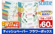 ティッシュペーパー スコッティ フラワーボックス250組 60箱(5箱×12パック) ティッシュ 日用品 最短翌日発送 [ティッシュ スコッティ(SCOTTIE) スコッティティシュー]