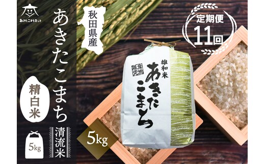 《定期便11ヶ月》あきたこまち 清流米 5kg【白米】 秋田市雄和産