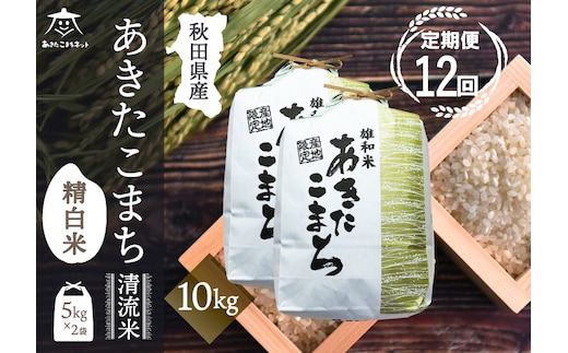 《定期便12ヶ月》あきたこまち 清流米 10kg(5kg×2袋)【白米】 秋田市雄和産