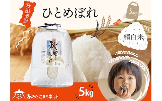 ひとめぼれ 5kg 【白米】 秋田市産