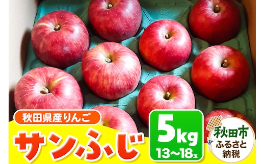 サンふじ 5kg りんご リンゴ 林檎