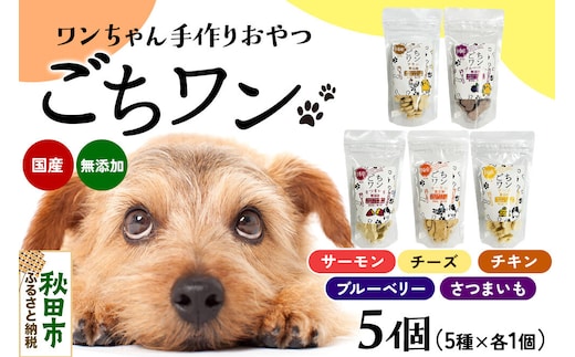 わんちゃん手づくりおやつ「ごちワン」トリーツ5種セット（サーモン／チーズ／ブルーベリー／チキン／さつまいも）国産ヘルシートリーツ ドッグフード 無着色・無香料 [トリーツ 犬 犬のおやつ 国産 ペット用 ペットフード]