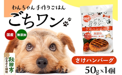 わんちゃん手づくりごはん「ごちワン」さけハンバーグ（レトルト）国産 ドッグフード 無着色・無香料 [犬のごはん 犬のご飯 国産 ペット用 ペットフード]