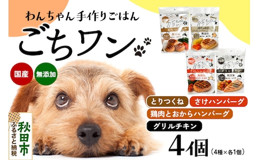 わんちゃん手づくりごはん「ごちワン」レトルト4種セット（とりつくね／鶏肉とおからのヘルシーハンバーグ／さけハンバーグ／グリルチキン）ヘルシー 国産 ドッグフード 無着色・無香料 [犬のごはん 犬のご飯 国産 ペット用 ペットフード]