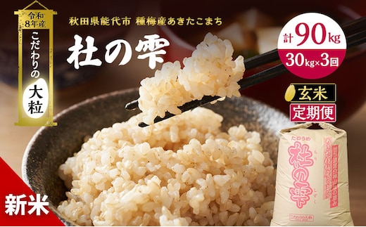 新米 先行予約 令和8年産[玄米]【定期便3ヶ月】秋田県産 あきたこまち 30kg×3回 計90kg「杜の雫」こだわりの大粒 種梅産【 お米 おこめ たねうめ 精米 ご飯 ごはん ブランド米 大粒 おにぎり 産地直送 能代 】