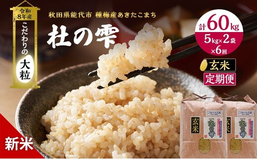 新米 先行予約 令和8年産[玄米]【定期便6ヶ月】秋田県産 あきたこまち 10kg(5kg×2)×6回 計60kg 「杜の雫」こだわりの大粒 種梅産【 お米 おこめ たねうめ 精米 ご飯 ごはん ブランド米 大粒 おにぎり 産地直送 能代 】