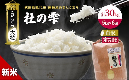 新米 先行予約 令和8年産[白米]【定期便6ヶ月】秋田県産 あきたこまち 5kg×6回 計30kg「杜の雫」こだわりの大粒 種梅産【 お米 おこめ たねうめ 精米 ご飯 ごはん ブランド米 大粒 おにぎり 産地直送 能代 】