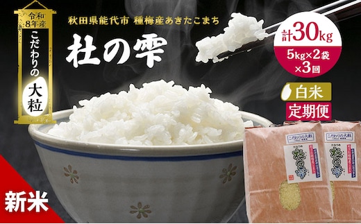新米 先行予約 令和8年産[白米]【定期便3ヶ月】秋田県産 あきたこまち 10kg(5kg×2)×3回 計30kg 「杜の雫」こだわりの大粒 種梅産【 お米 おこめ たねうめ 精米 ご飯 ごはん ブランド米 大粒 おにぎり 産地直送 能代 】