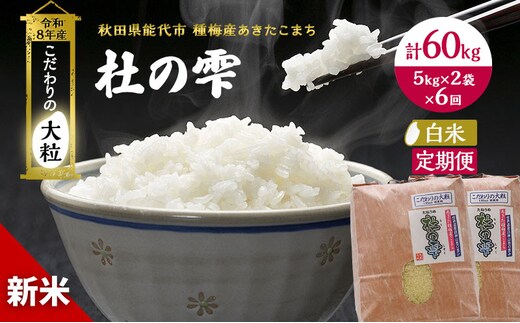 新米 先行予約 令和8年産[白米]【定期便6ヶ月】秋田県産 あきたこまち 10kg(5kg×2)×6回 計60kg 「杜の雫」こだわりの大粒 種梅産【 お米 おこめ たねうめ 精米 ご飯 ごはん ブランド米 大粒 おにぎり 産地直送 能代 】