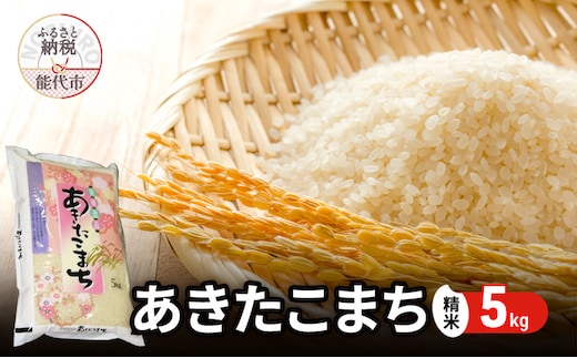 令和7年産 あきたこまち 精米 5kg 秋田県産 お米 米 ごはん ご飯 単一原料米 