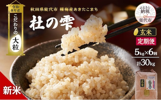 新米 先行予約 令和8年産[玄米]【定期便6ヶ月】秋田県産 あきたこまち 5kg×6回 計30kg「杜の雫」こだわりの大粒 種梅産【 お米 おこめ たねうめ 精米 ご飯 ごはん ブランド米 大粒 おにぎり 産地直送 能代 】