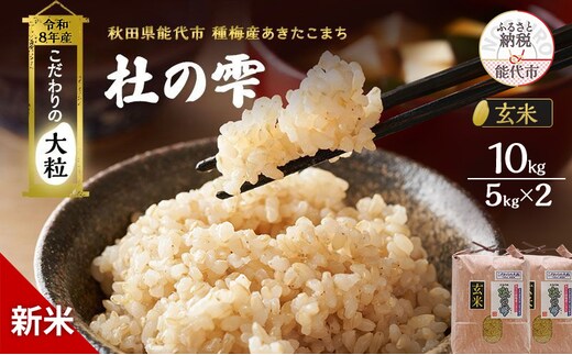 新米 先行予約 令和8年産[玄米]秋田県産 あきたこまち 10kg(5kg×2)「杜の雫」こだわりの大粒 種梅産【 お米 たねうめ 玄米 精米 ご飯 ブランド米 大粒 おにぎり 産地直送 おこめ ごはん 】
