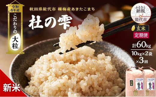 新米 先行予約 令和8年産[玄米]【定期便3ヶ月】秋田県産 あきたこまち 20kg(10kg×2)×3回 計60kg 「杜の雫」こだわりの大粒 種梅産【 お米 おこめ たねうめ 精米 ご飯 ごはん ブランド米 大粒 おにぎり 産地直送 能代 】
