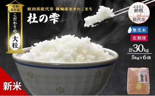 新米 先行予約 令和8年産[無洗米]【定期便6ヶ月】秋田県産 あきたこまち 5kg×6回 計30kg「杜の雫」こだわりの大粒 種梅産【 お米 おこめ たねうめ 精米 ご飯 ごはん ブランド米 大粒 おにぎり 産地直送 能代 】