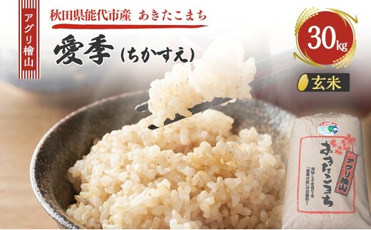 令和7年産 アグリ檜山米 愛季(ちかすえ) 玄米 30kg あきたこまち お米 おこめ こめ コメ ごはん ご飯 大粒 令和7年 秋田 秋田県 能代市