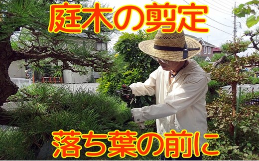 【Amazon特別価格】秋田県 能代市 空き家管理 庭木の剪定 故郷の庭木の枝や葉をキレイに剪定します 対象地域：能代市