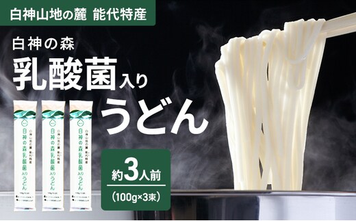 うどん 白神の森乳酸菌入りうどん 100g（約1人前）×3束 麺 乾麺 鍋 冷たい 温かい ざるうどん 鍋の締め 腸活 乳酸菌