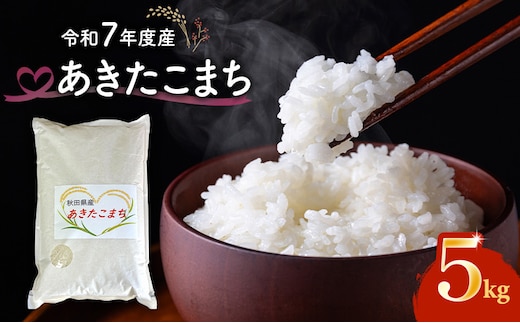 令和7年度産 あきたこまち 米 5kg 精米 白米 秋田県 能代市 ブランド米 甘み 粘り もっちり