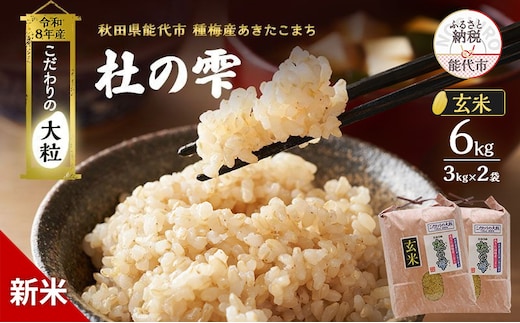 新米 先行予約 令和8年産 [玄米]秋田県産 あきたこまち 6kg(3kg×2)「杜の雫」こだわりの大粒 種梅産【お米 たねうめ 玄米 精米 ご飯 ブランド米 大粒 おにぎり 産地直送 おこめ ごはん】