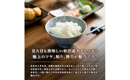 12回定期便 》 米 令和8年産 あきたこまち 無洗米 5kg×12回 秋田県産