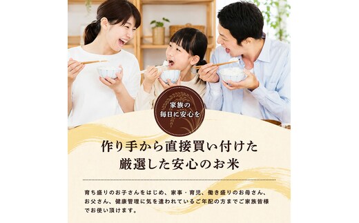 12回定期便 》 米 令和8年産 あきたこまち 無洗米 5kg×12回 秋田県産