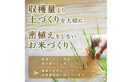 令和7年度あきたこまち（秋田県産）︎一等米 玄米15㌔か（15㌔からの精米） 12回定期便 》 米 令和8年産 あきたこまち 無洗米 5kg×12回 秋田県産