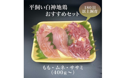 数量限定 比内地鶏 約400g～ 1パック 鶏肉 地鶏 国産鶏肉