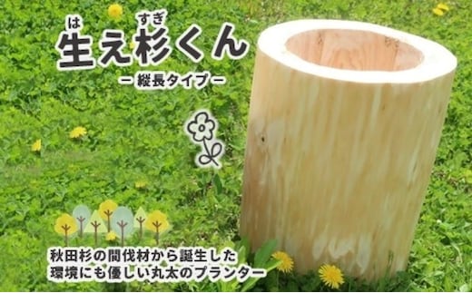 里山くらし応援 木工品 秋田杉の丸太プランター「生え杉くん（はえすぎくん）」縦長タイプ 雑貨 日用品 ガーデニング用品 木製プランター 手作り 