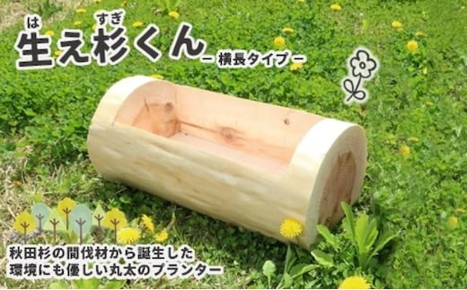 里山くらし応援 木工品 秋田杉の丸太プランター「生え杉くん（はえすぎくん）」横長タイプ 雑貨 日用品 ガーデニング用品 木製プランター 手作り 