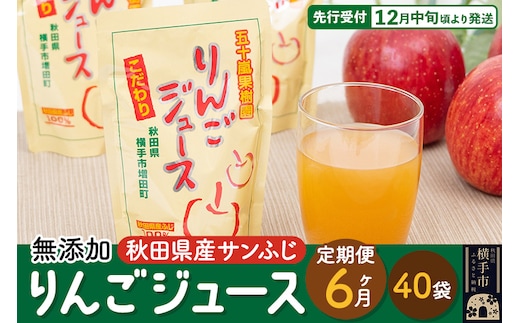 《定期便6ヶ月》 無添加りんごジュース（サンふじ）40パック