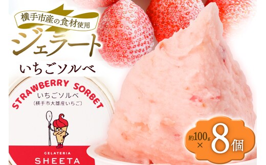 ジェラート いちごソルベ 約100g×8個