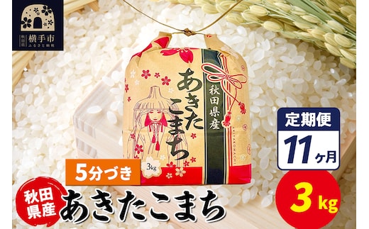 《定期便11ヶ月》あきたこまち 3kg×1袋【5分づき】令和7年産 秋田県産 こまちライン