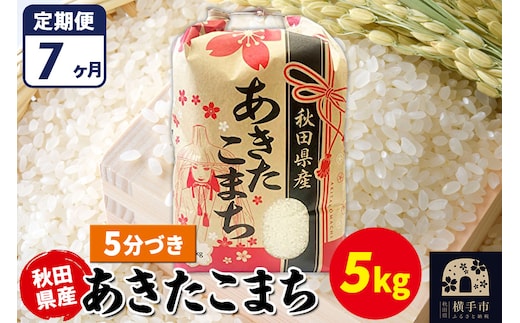 《定期便7ヶ月》あきたこまち 5kg【5分づき】令和7年産 秋田県産 こまちライン