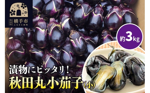 秋田丸小茄子（小）3kg 箱詰 [先行予約 ナス なす 茄子 野菜 秋田県 横手市]