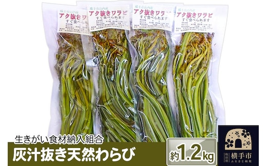 灰汁抜き天然わらび 約1.2kg [わらび ワラビ 蕨 あく抜き 山菜]
