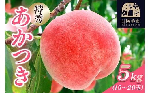 【秋田県横手市産】 白桃 約5kg（あかつき）特秀 15～20玉 桃 [もも モモ 白桃 はくとう 果物 フルーツ 産地直送 お取り寄せ]