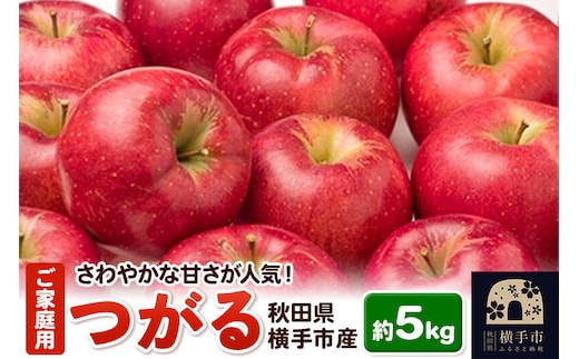 酸味が少なくさわやかな甘さが特徴！横手産りんご【つがる】ご家庭用 約5kg [秋田県 横手市 林檎 リンゴ 果物 フルーツ 【りんご】特集]