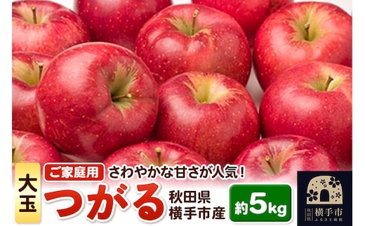 酸味が少なくさわやかな甘さが特徴！横手産りんご【つがる】【大玉】ご家庭用 約5kg(～18玉) [秋田県 横手市 林檎 リンゴ 果物 フルーツ 【りんご】特集]
