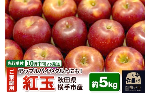 【先行受付】10月中旬より発送 アップルパイやタルトにも！横手市産りんご(紅玉) ご家庭用 約5kg [秋田県 横手市 林檎 リンゴ 果物 フルーツ 【りんご】特集]