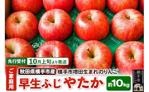 【先行受付】10月上旬より発送 横手市増田産りんご 早生ふじ・やたか ご家庭用 約10kg [秋田県 横手市 林檎 リンゴ 果物 フルーツ 【りんご】特集]