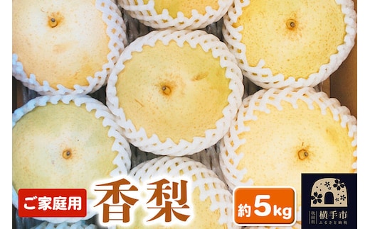 【先行受付】10月上旬より発送 横手市増田産 香梨 ご家庭用 約5kg [秋田県 横手市 梨 なし ナシ かおり梨 果物 フルーツ 希少 【りんご】特集]