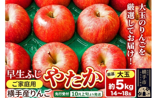 【先行受付】10月上旬より発送 横手市りんご 早生ふじ・やたか【大玉】ご家庭用 約5kg [秋田県 横手市 林檎 リンゴ 果物 フルーツ 【りんご】特集]