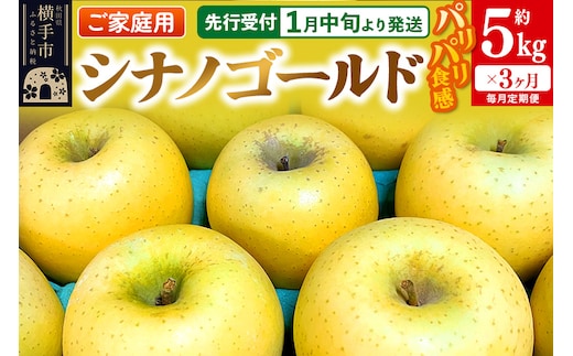 【先行受付】1月中旬より発送 《定期便3ヶ月》パリパリ食感シナノゴールド ご家庭用 約5kg（14～23玉前後）×3回 計15kg 3か月 3ヵ月 3カ月 3ケ月