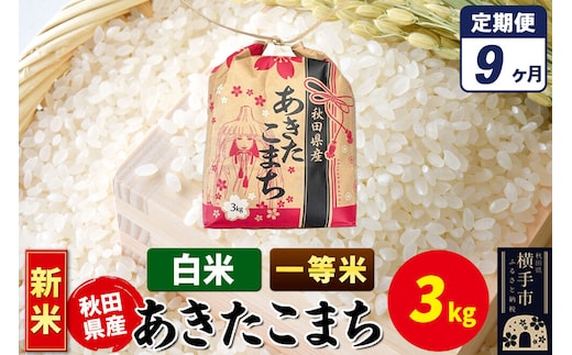 《新米》《定期便9ヶ月》あきたこまち 一等米 3kg×1袋【白米】令和8年産 秋田県産 こまちライン [新米 こまちライン あきたこまち ブランド米 お米 白米 精米 米どころ 秋田 秋田県産]