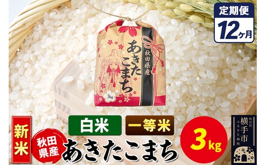 《新米》《定期便12ヶ月》あきたこまち 一等米 3kg×1袋【白米】令和8年産 秋田県産 こまちライン [新米 こまちライン あきたこまち ブランド米 お米 白米 精米 米どころ 秋田 秋田県産]