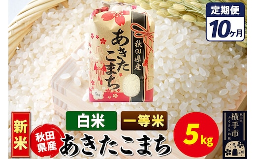 《新米》《定期便10ヶ月》あきたこまち 一等米 5kg【白米】秋田県産 こまちライン [新米 こまちライン あきたこまち ブランド米 お米 白米 精米 米どころ 秋田 秋田県産]