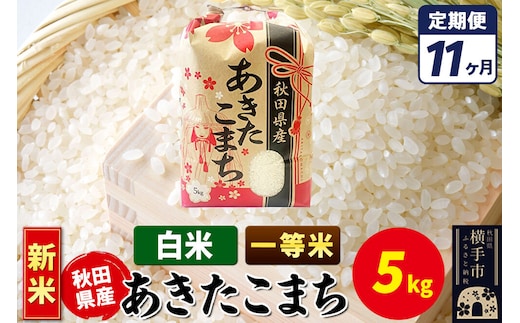 《新米》《定期便11ヶ月》あきたこまち 一等米 5kg【白米】秋田県産 こまちライン [新米 こまちライン あきたこまち ブランド米 お米 白米 精米 米どころ 秋田 秋田県産]