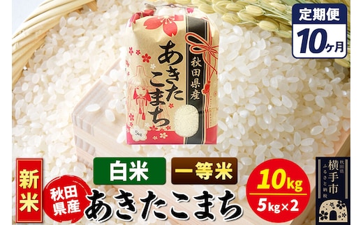 《新米》《定期便10ヶ月》あきたこまち 一等米 10kg【白米】秋田県産 こまちライン [新米 こまちライン あきたこまち ブランド米 お米 白米 精米 米どころ 秋田 秋田県産]